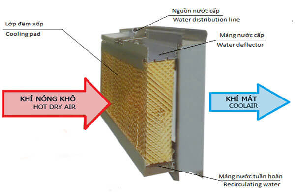 Nguyên lý hoạt động của máy làm mát không khí